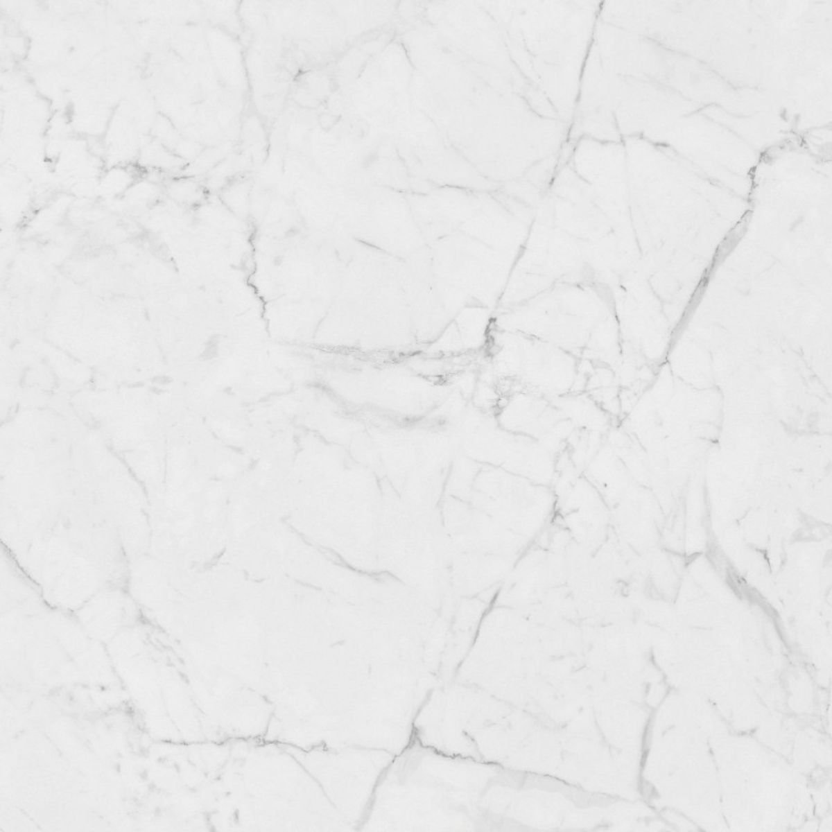 618 Carrara White 96x280 SPC Panel