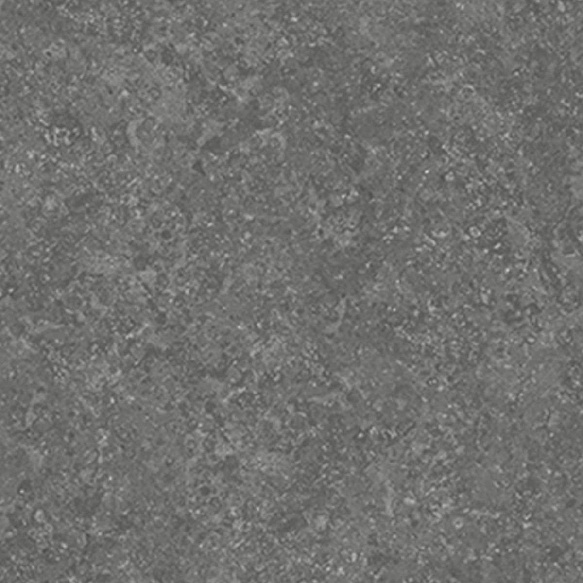 P503 Mosaic Graphite SPC Parke