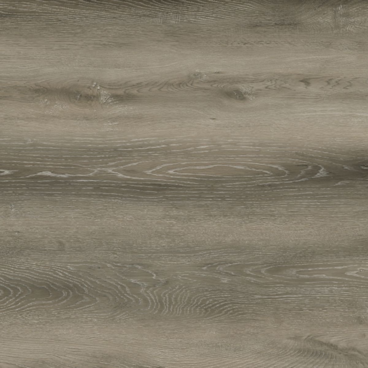 P217 Silver Mist Oak SPC Parke