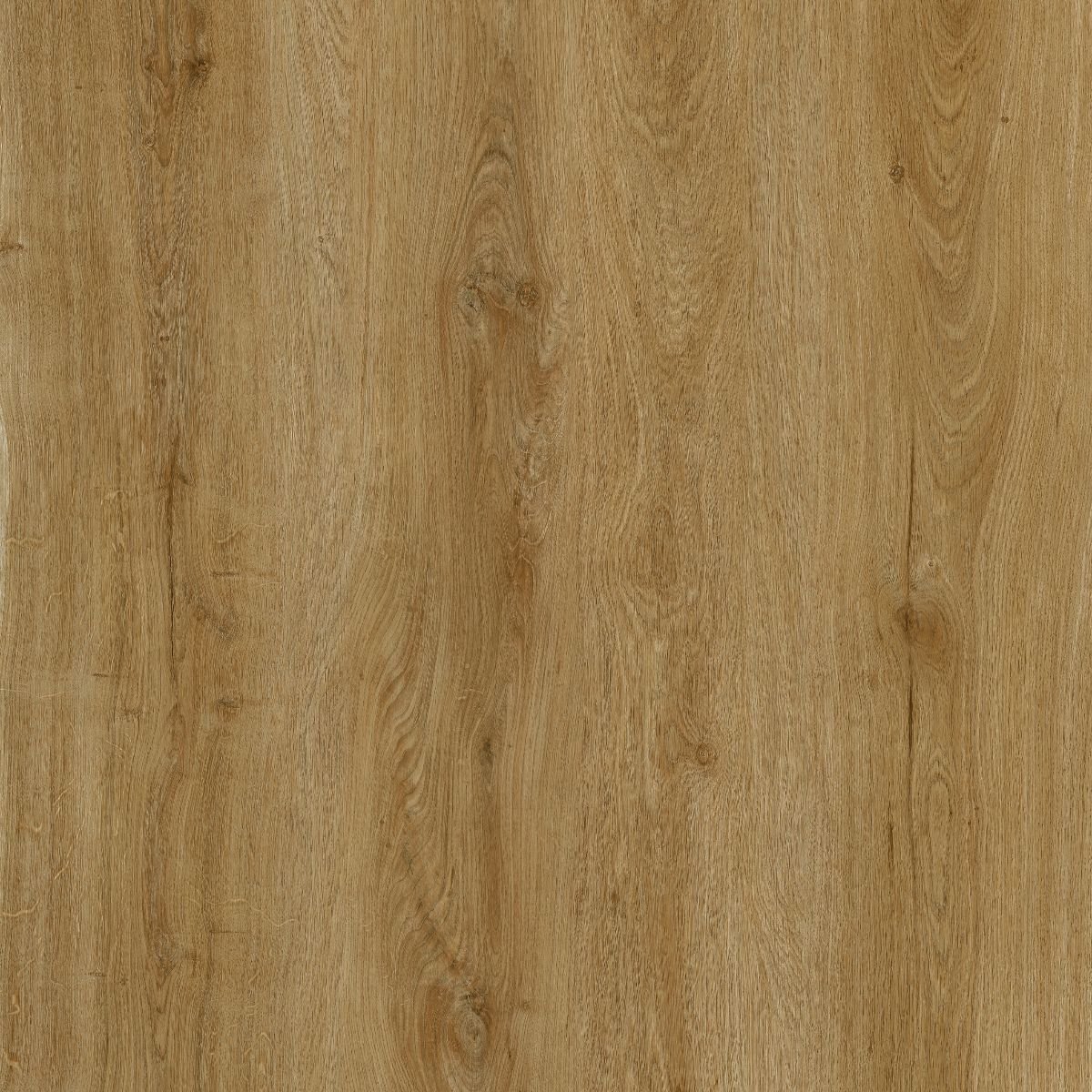215 Sahara Oak 96x280 SPC Panel