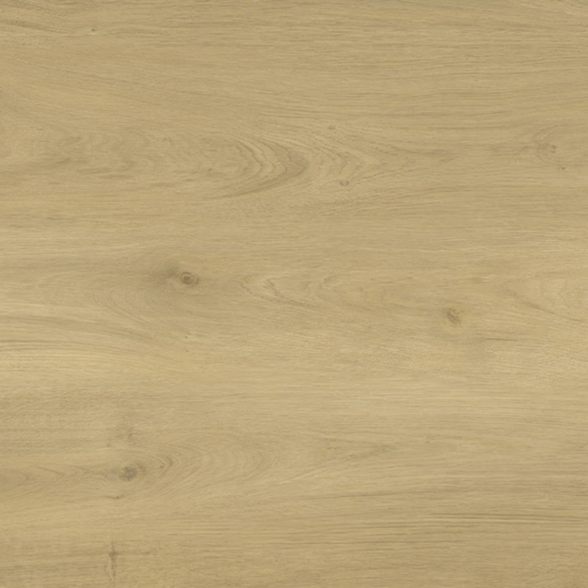 P205 Buttermilk Oak SPC Parke