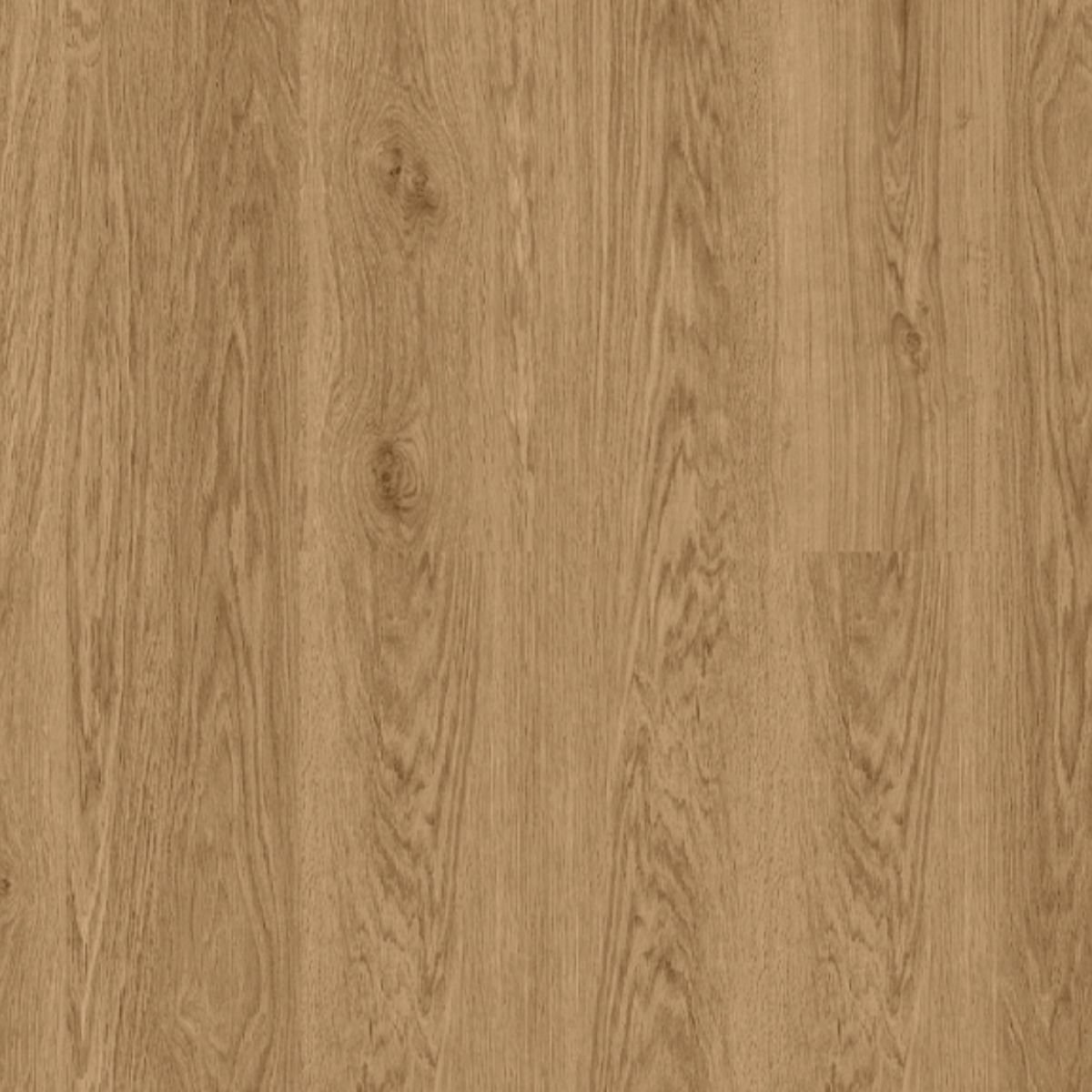 P107 Nutmeg Oak SPC Parke