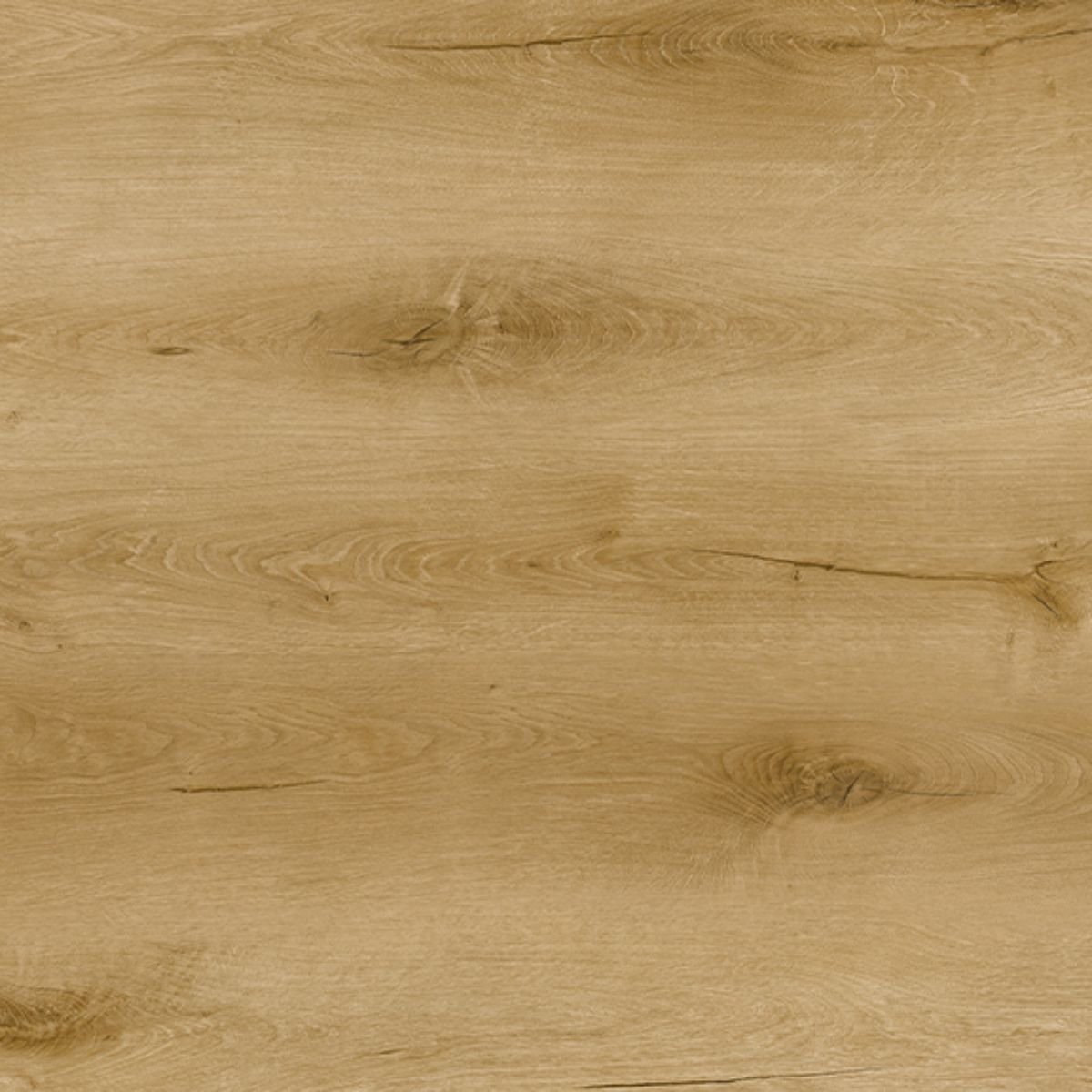P208 Sand Dune Oak SPC Parke