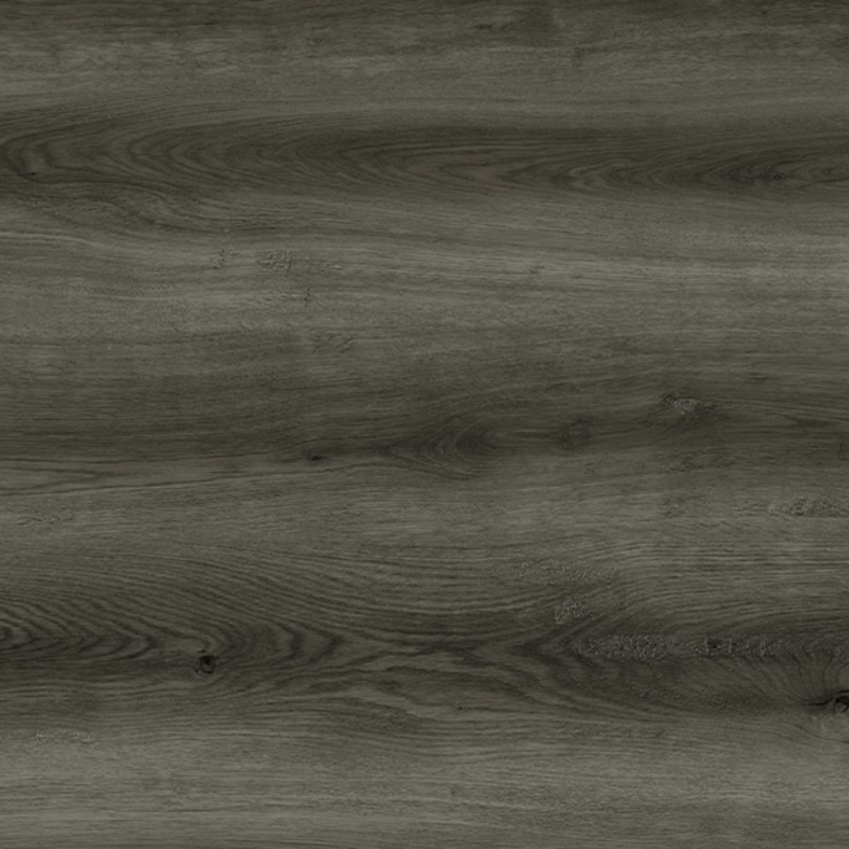 P219 Ash Grey Oak (Dark) SPC Parke