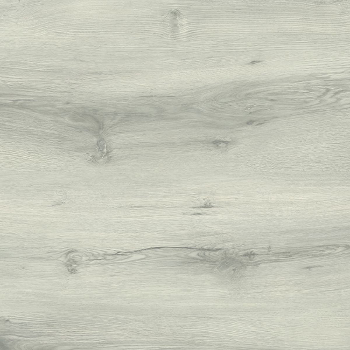 P202 Arctic Oak SPC Parke